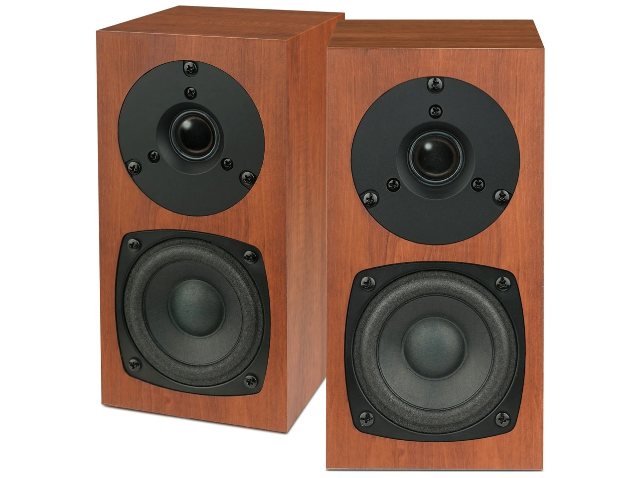 fostex-p802-s-%e3%83%9a%e3%82%a2-1
